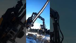 This Ponsse Ergo Cuts Ash Trees Fast! #amazingmachine #equipment #oddlysatisfying