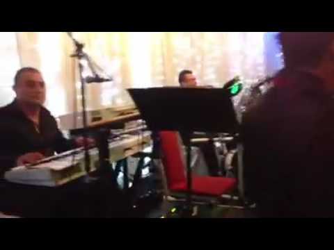 Stiv  Sturevski & Grupa Molika Sela Pelisterski Live