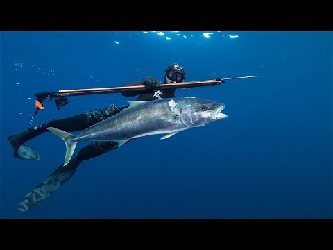 Wettie TV - SPEARFISHING Winter KINGFISH