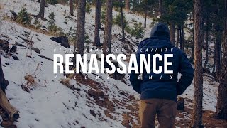Steve James - Renaissance Ft. Clairity (Villms Remix)