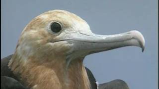 New Caledonia Travel Doc  Part 03