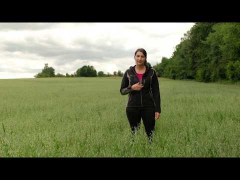 8 Kleegras-Untersaat - Zwischenstand