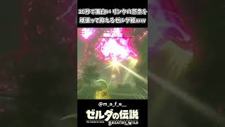 【ブレワイ】リンクの怨念を抑えるゼルダ姫ｗｗ【ゼルダの伝説 ブレス オブ ザ ワイルド】