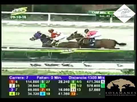 LA RINCONADA 7 CARRERA, DOMINGO 09 DE OCTUBRE DEL 2016