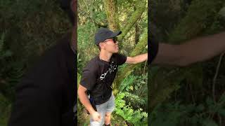 自然界のターザン（成功）