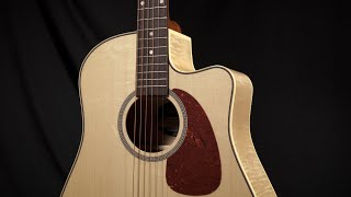 Video thumbnail for Seagull Performer CW Flame Maple by MooreMusicGuitars