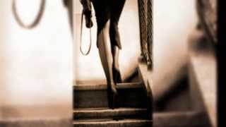 🌟 DAY DREAMING_DAVID SANBORN 🌟