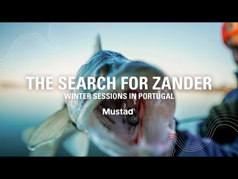 Searching Unknown Waters for Zander | Winter Sessions