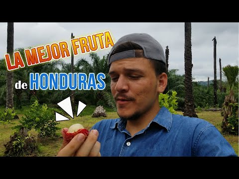 Frutas De Honduras