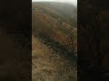 रान जागे झाले सारे पाय वाटा जाग्या झाल