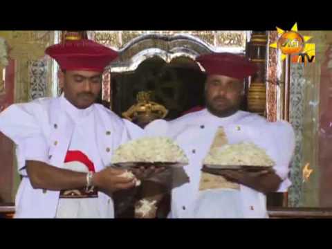 Hiru TV