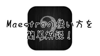 Maestroの使い方を思いつくままに解説【簡単解説】【Maestro】#maestro