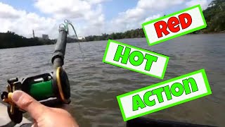 RED HOT Catfish Action on the James River | Trophy Catfish | Kayak Fishing