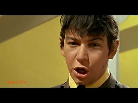 Thumbnail for The Animals - House Of The Rising Sun (UK # 1 - July 1964) SHQ Video by Johnny Handle