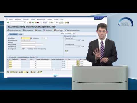 SAP® Finanzbuchhaltung Buchungshilfen (Lernvideo)
