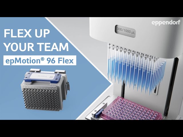 96-Kanal-Pipettierung mit ISO-zertifizierter Präzision für Hochdurchsatz-Workflows