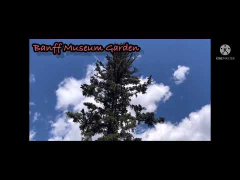 🥰Banff - Museum Garden🥰