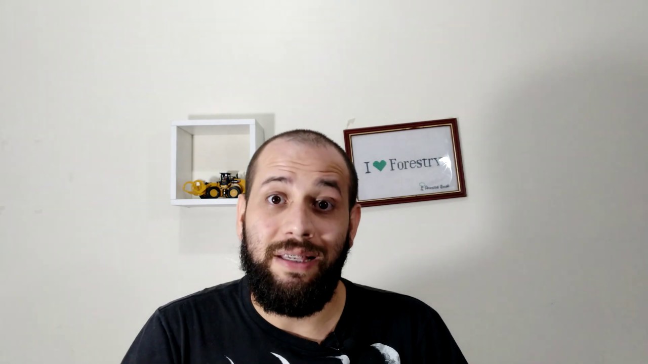 O que é o Sistema Silvipastoril? Vale a pena? (Agrofloresta)