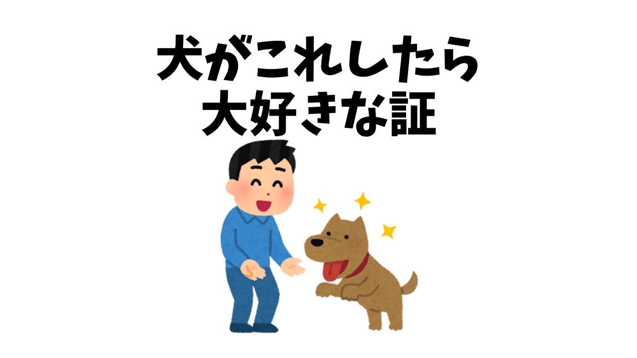 犬がこれしたら大好きな証