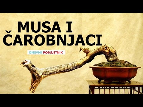Musa i čarobnjaci ᴴᴰ┇ Dnevni podsjetnik