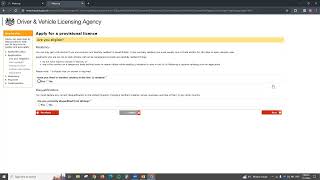 DVLA Provisional Driving License