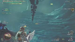 [モンハンワイルズ PS5 参加型]久々のワイルズ！初心者、玄人、初見さん誰でも参加ok!!