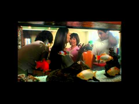 Falling Asleep With You - Strays Don't Sleep (Matthew Ryan, Neilson Hubbard)