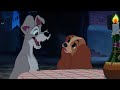 Lady And The Tramp Bella Notte Swedish