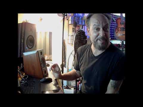 SANYUN SW-228BT Bookshelf Monitor Review