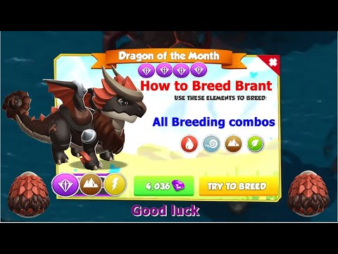 How to Breed Brant Dragon-Dragon Mania Legends | All Breeding Combination | DML