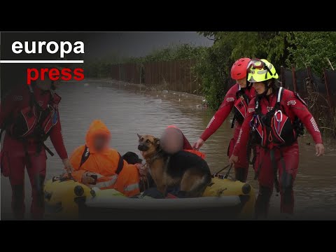 Rescate a una pareja y sus dos perros en una zona rural de Alzira (Valencia)