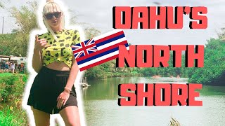 The best way to see Oahu's North Shore!! (Without a car!)