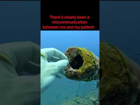 Miscommunication happens  #doctor #funny #intern #miscommunication #patient #residency #er #laugh￼