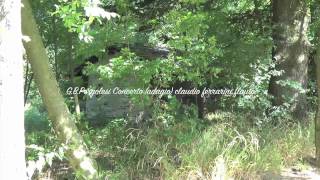 G.B.Pergolesi Concerto (adagio) flauto claudio ferrarini