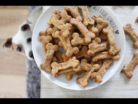 download lagu mp3 mp4 Vegetarian Dog Biscuits, download lagu Vegetarian Dog Biscuits gratis, unduh video klip Vegetarian Dog Biscuits