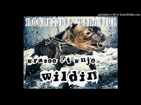 Krazee Ft Kujo- Wildin