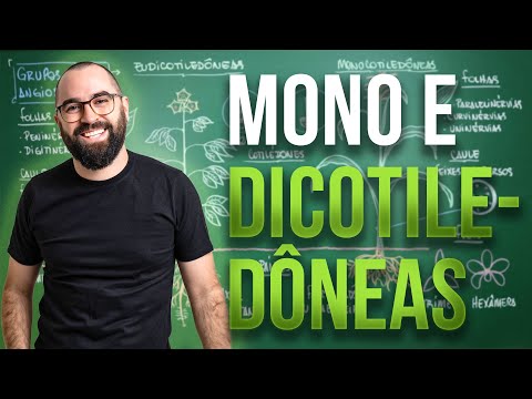 Monocotiledôneas e Eudicotiledôneas - Aula 06 - Módulo 5: Botânica