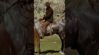 Pochi Dollari per Django #shorts