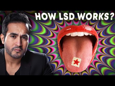 What happens when you take LSD | Science of Drugs Explained