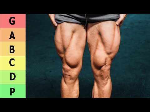 Best & Worst QUAD Exercises (Tier List)