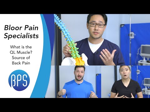 What is Your QL Muscle? Why Can It Cause Lower Back Pain? Spine Doctors Answer COMMON Questions