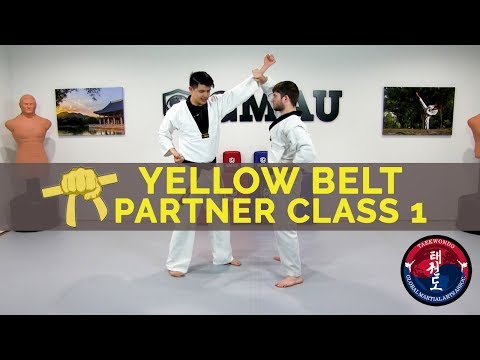 Taekwondo Follow Along Class - Yellow Belt - Partner Class #1 thumbnail
