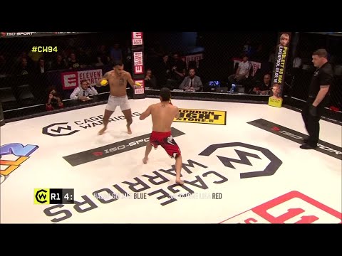 Salvatore Liga vs Hasan Gulmez full fight