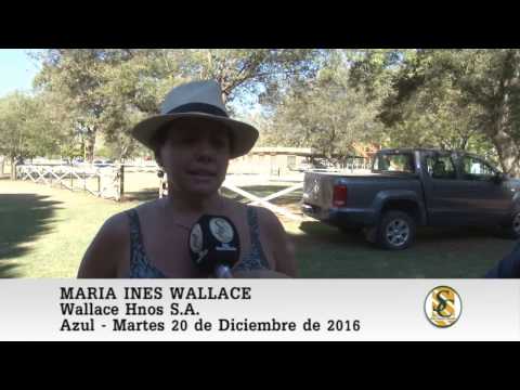 20-12-16 Nota Maria Ines Wallace - Wallace Hnos S.A. - Azul