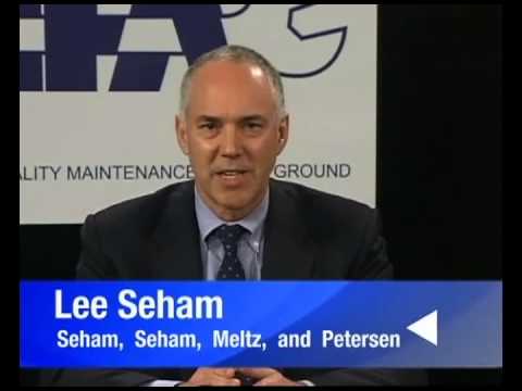 AMFA Webinar_Lee Seham Pt.2