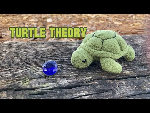 Turtle Theory (OFFICIAL MUSIC VIDEO)