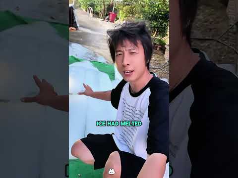 He Built an Entire House Out of Ice! #funnyshorts