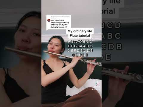 My ordinary life - The living tombstone (flute tutorial + notes)