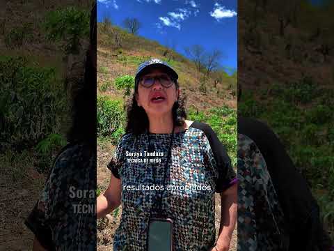 Sistema de Riego por Goteo en Chaquizca–Luranda, del cantón Calvas.