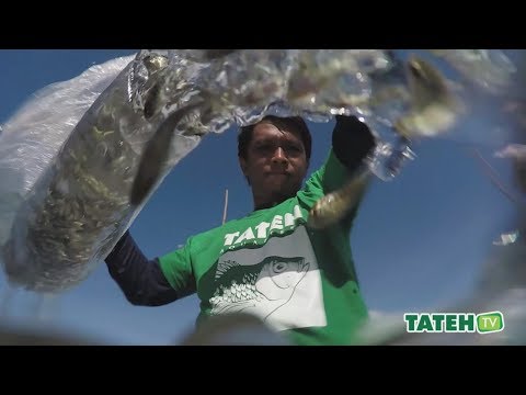 Sustainable Aquaculture Practices (Tilapia) | TatehTV Episode 29 Video